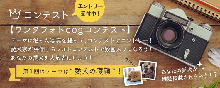 17580223_1925758744366905_362342373_n