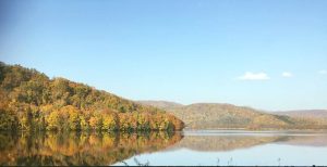 22814118_532318087107838_4439033343166375216_n