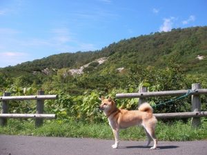 27781894_2091329997809778_942606526_n