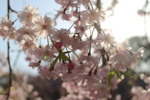 28938678_1580035208770876_696669231_o