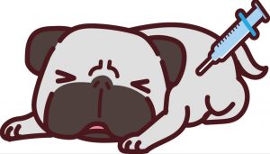 28938709_10216201893982670_2128196280_o