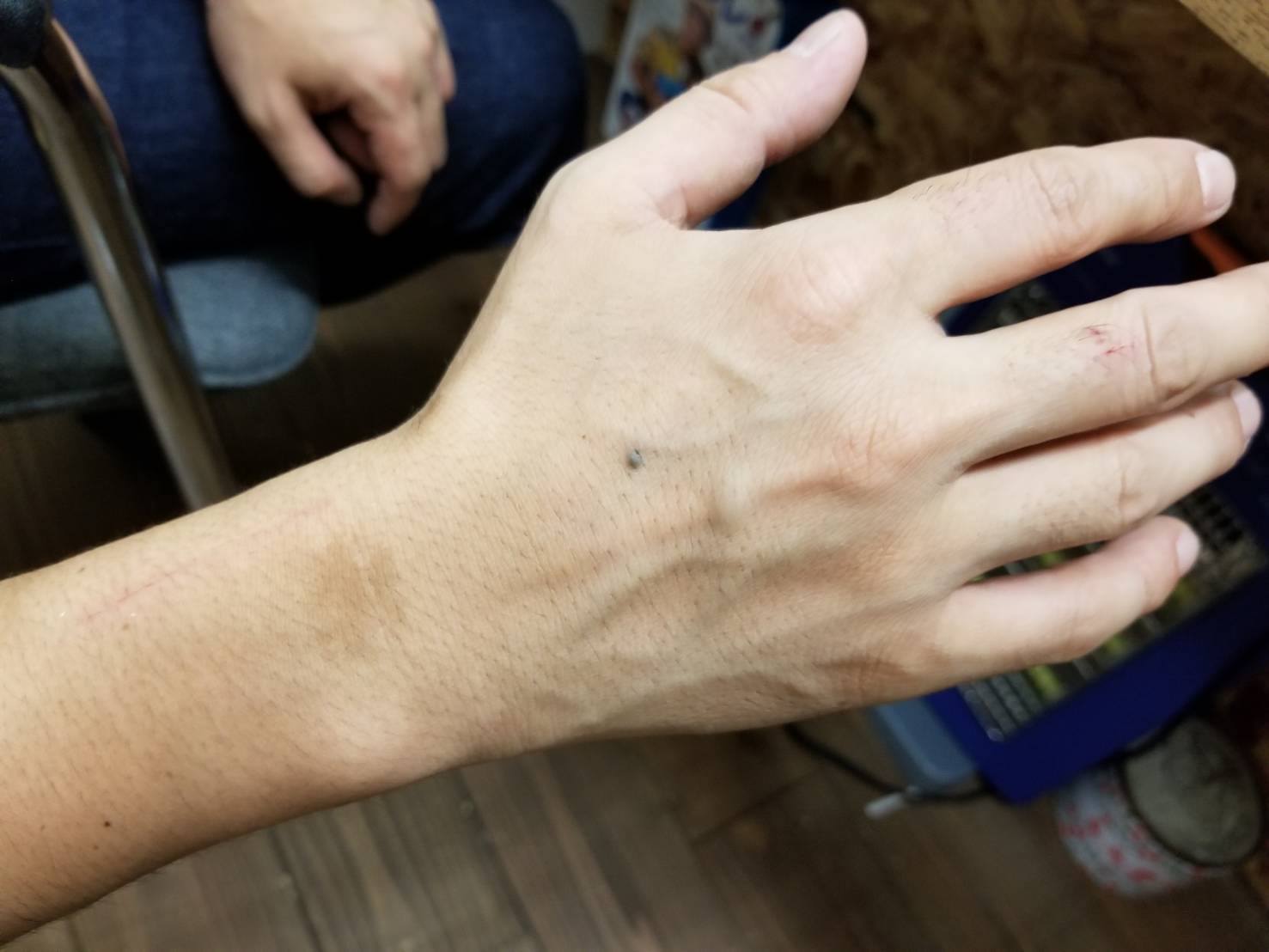 36828197_1380612692082153_3313160462446624768_n