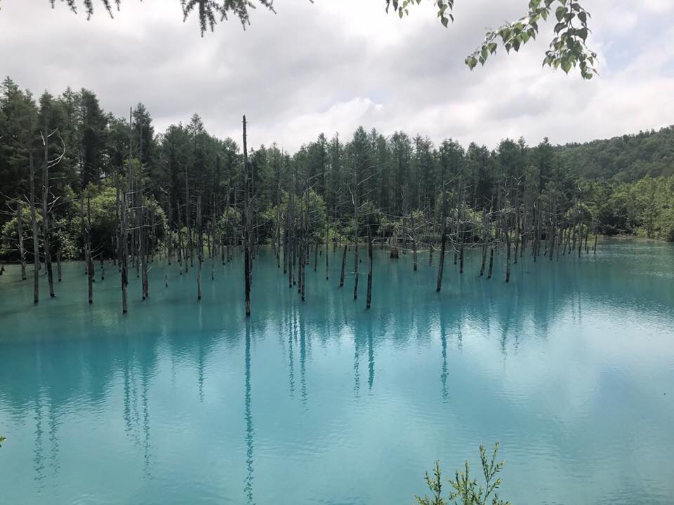 40131290_241521956483950_7439548814609874944_n