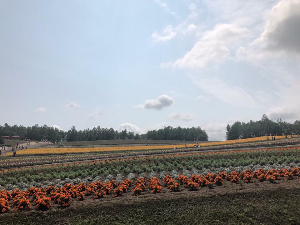 40262182_273109570177748_3630434279332249600_n