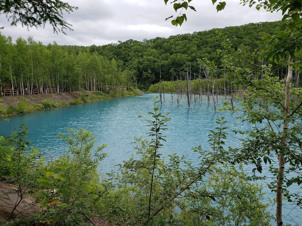 44119787_2209966719248175_230593590076637184_n