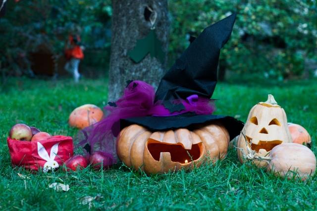 44758659_1881736165241869_7139427039815139328_n