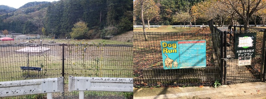 ドッグラン⑨