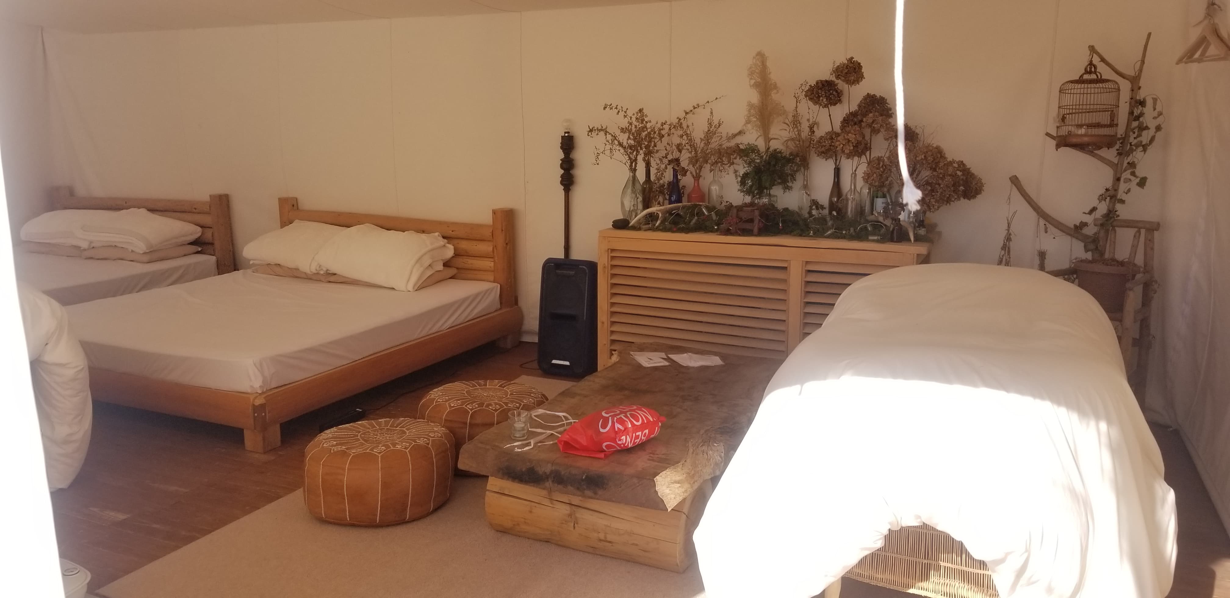 52434244_313705459283966_9022378485208842240_n