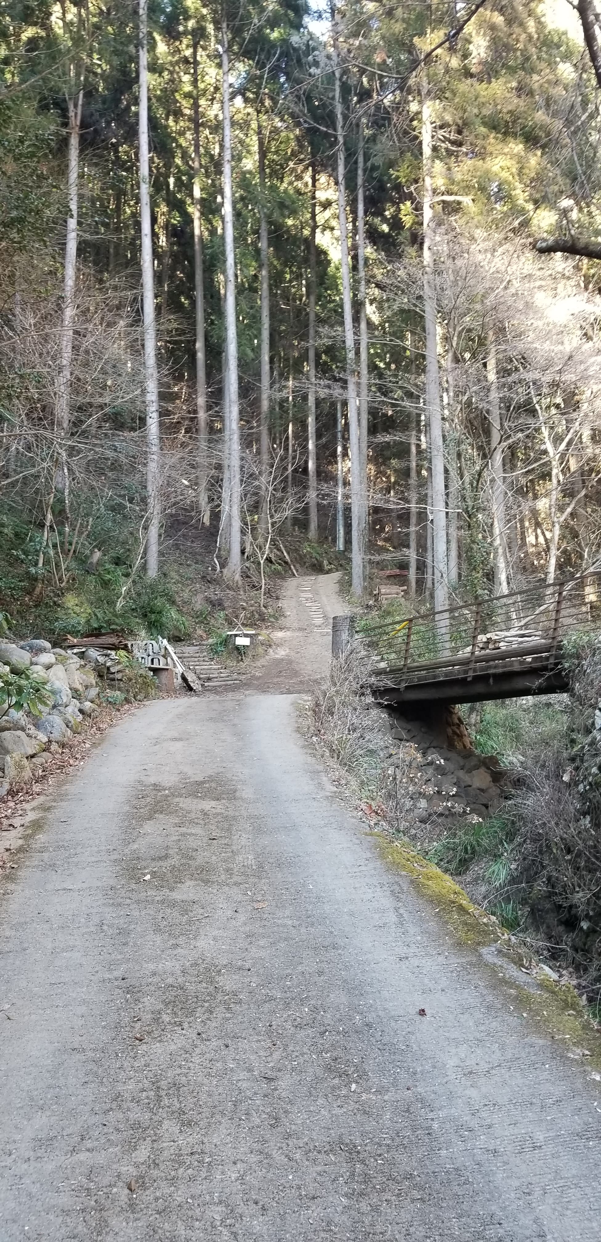 52881288_288803991790251_4397192139029610496_n